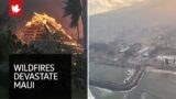 Hawaii wildfires raze resort city and leave dozens dead