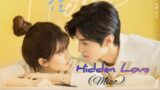 Hidden Love | Part – 16 & 17 | mizo