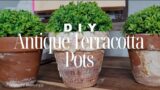 How to DIY Terracotta Pots for an Antique Look Using Epsom Salt!