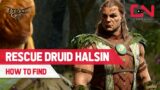 How to Rescue Druid Halsin in Baldur's Gate 3 – Talk to Zevlor