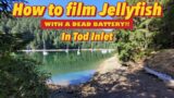 How to film Jellyfish with a dead battery, MacGyver to the rescue!