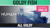Humanity – All Goldy – Goldy Fish – Sequence 01 Trial 03