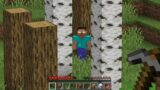 I found Herobrine in Minecraft Survival…