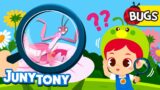 Insect Camouflage | Can you see me? | Cutie-crawlies! Insect Songs for Kids | JunyTony