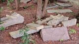 Lost gravestones, broken or new pieces in a shaded area of cemetery