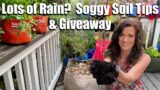 Lots of Rain? 3 Tips for Soggy Soil & GIVEAWAY