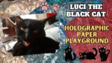 Luci the Black Cat's Dazzling Paper Playground #paperareachallenge
