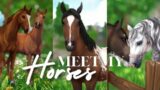 MEET MY HORSES! II SSO RRP