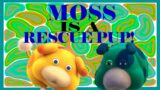 MOSS WAS A RESCUE PUP! (Pikmin 4 Theory)