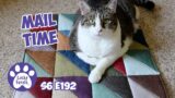 Mail Time, A Change Of Routine – S6 E192 – Rescued Cats, Introducing Cats, Lucky Ferals Cat Vlog