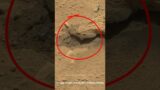 Mars Rover Curiosity  Sol 670 #shorts