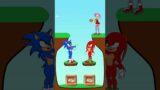 Meme Coffin Dance  – Amy Is The Troublemaker And The End #sonic #animation #coffindancememe #short