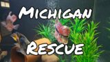 Michigan Rescue