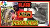 NBC ARTICLE (BLACKMAN FISHING PROBLEMS) w/ (WHITE PEOPLE) By Claretta Bellamy (Karen vs Fisherman)
