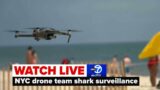 NYC officials discuss surveillance of local beaches after recent shark attack