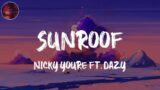 Nicky Youre, dazy – Sunroof (Lyrics)