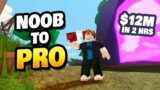 Noob to PRO – $12M in 2 Hours! (Roblox Islands)