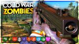 OUTBREAK SURVIVAL EASTER EGG! | Call Of Duty Black Ops Cold War Zombies Outbreak Survival EE + More!