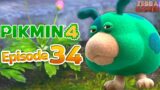 Olimar's Shipwreck Tale! Blossoming Arcadia! – Pikmin 4 Nintendo Switch Gameplay Walkthrough Part 34