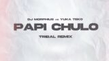 PAPI CHULO – Dj Morphius Mix 2023 / Tribal , Guaracha , Sandungueo , Tribe