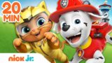 PAW Patrol Best Cat Pack Rescues & Adventures! | 20 Minute Compilation | Nick Jr.