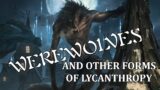 Pathfinder Creature Feature: Werewolves and other forms of Lycanthropy