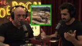 Paul Rosolie & Joe Rogan On The Devastating Impact To The Amazon Forest From Illegal Gold Mining!