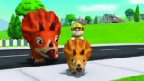 Paw Patrol Pups to the Rescue – Complete All Rescue Missions With All Badges #pawpatrol #animation