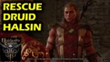 Rescue Druid Halsin in Goblin Camp | Baldur's Gate 3