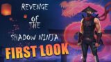 Revenge of the shadow ninja – Gameplay (PC)