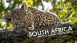 SOUTH AFRICA PHOTO SAFARI HIGHLIGHTS – Madikwe + Sabi Sands 2022 – 4K