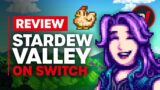 Stardew Valley Nintendo Switch Review – Is It Worth It?