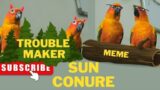 SunConure The Trouble Maker | Ghar ki barbaadi | Rio aur Mojo in Hindi