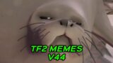 TF2 MEMES V44
