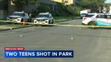 Teen girl shot to death in Chicago park as gunfire terrifies nearby block party
