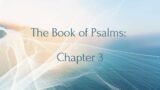 The Book of Psalms Chapter 3