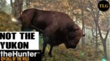 The Hunter call of the wild Bison