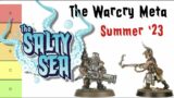 The Warcry Summer Metagame 2023 – with tierlist