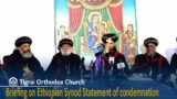 #Tigray Orthodox Tewahdo Church Briefing on Ethiopian Synod Statement of condemnation