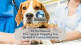 To The Rescue: Five Tips For Stopping The Spread of Canine Influenza
