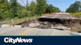 Truck driver killed after road collapse