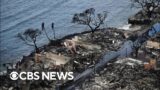 Updates on Maui wildfires, destruction of historic Lahaina