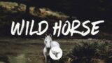 Warren Zeiders – Wild Horse (717 Tapes) Lyrics
