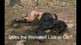 Werewolf the Podcast (Audio Only) Does the Werewolf Live or Die. 100th episode