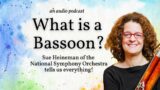 What is a Bassoon? Sue Heineman of the National Symphony Orchestra tells us everything!