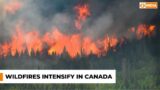 Wildfires intensify in Canada & more updates l News Hour