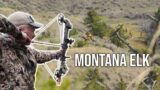 Words of Wisdom (Montana Archery Elk Hunt) – Fresh Tracks Season 10!