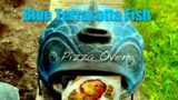 World Market Blue Terracotta Fish Pizza Oven Review