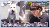 You are doing very well, dad! [Dogs are incredible : EP.180-3] | KBS WORLD TV 230801