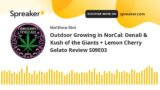 Outdoor Growing in NorCal: Denali & Kush of the Giants + Lemon Cherry Gelato Review S09E03